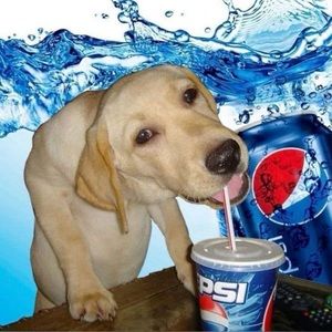 Meet your Posher, Dd